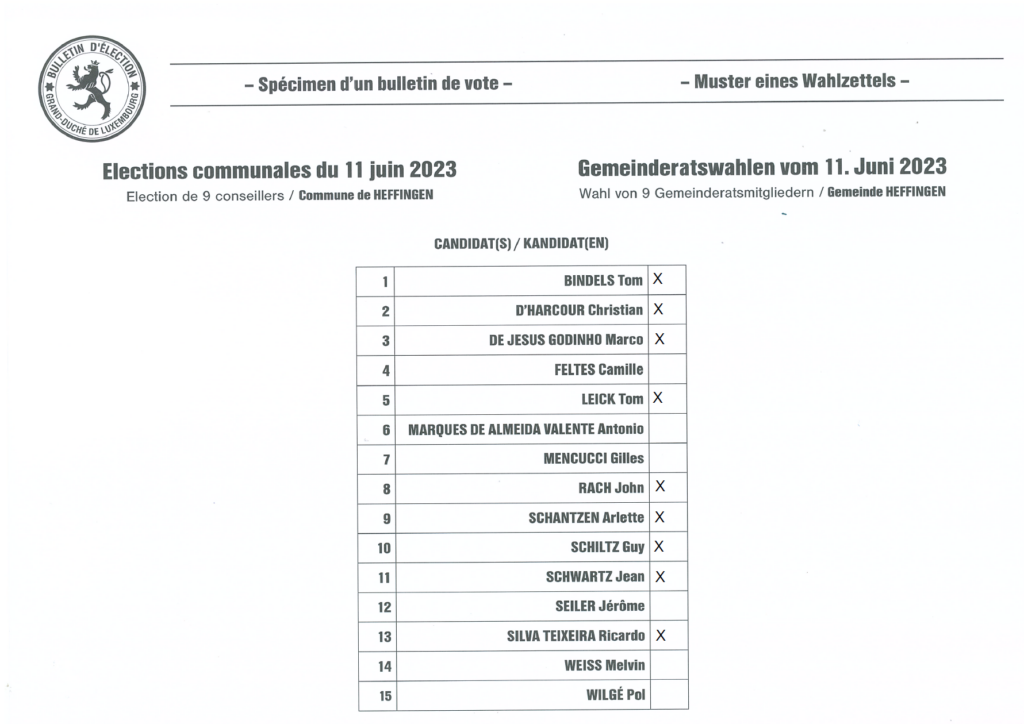 Assistência eleitoral no modelo 2023